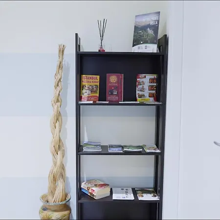 Alpaca 比耶拉